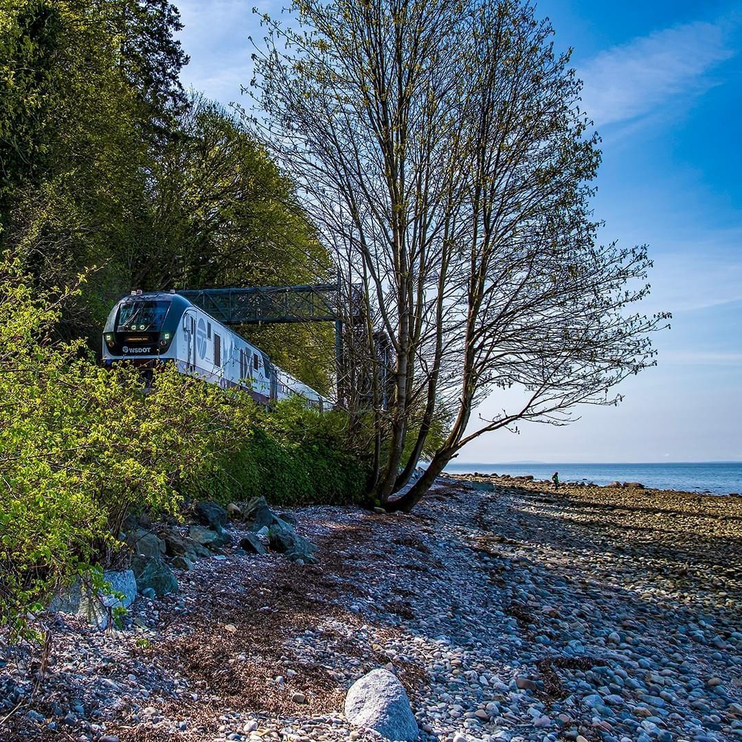 Image of a train and a tree