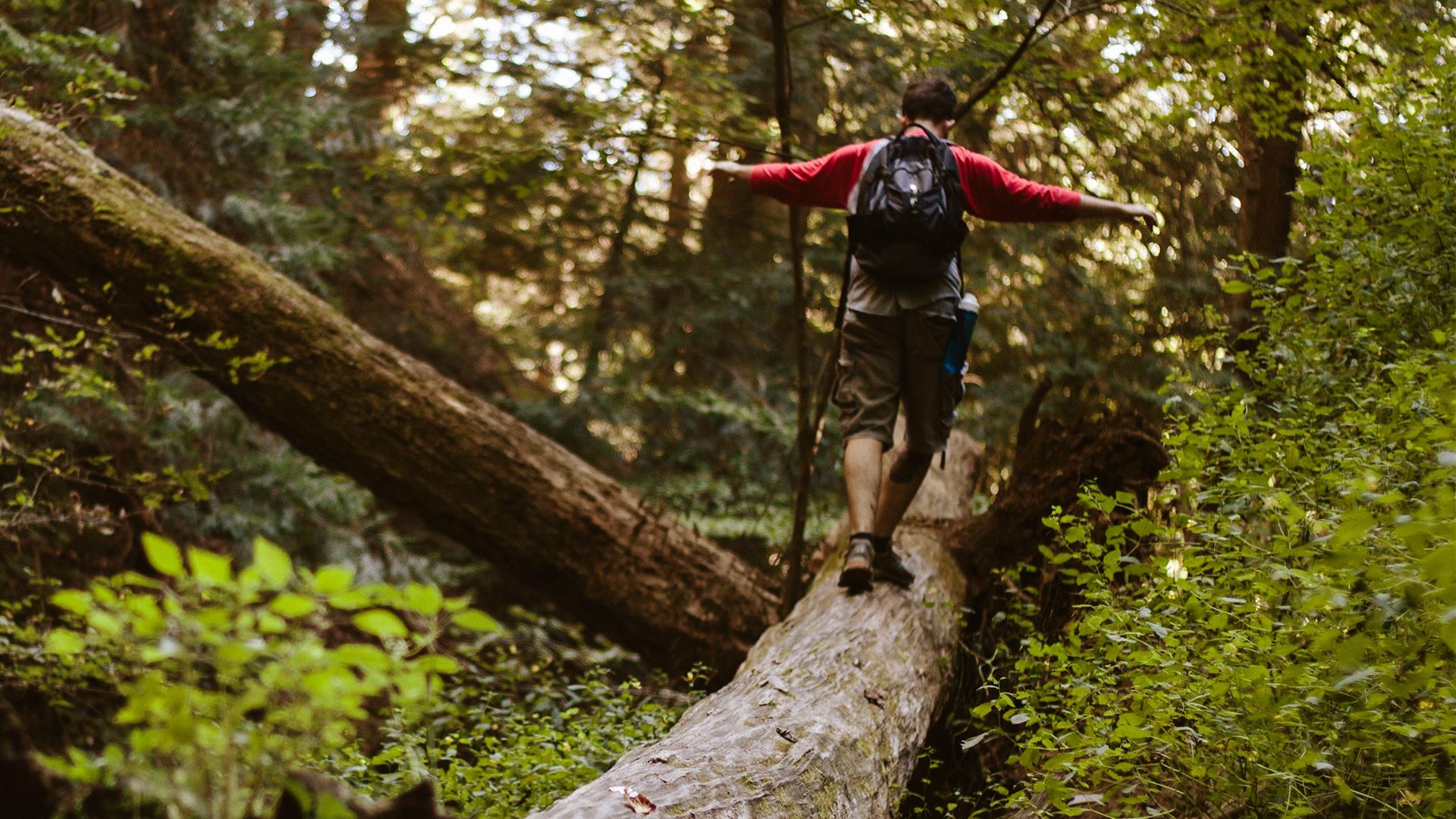 Walking in the Oregon forests