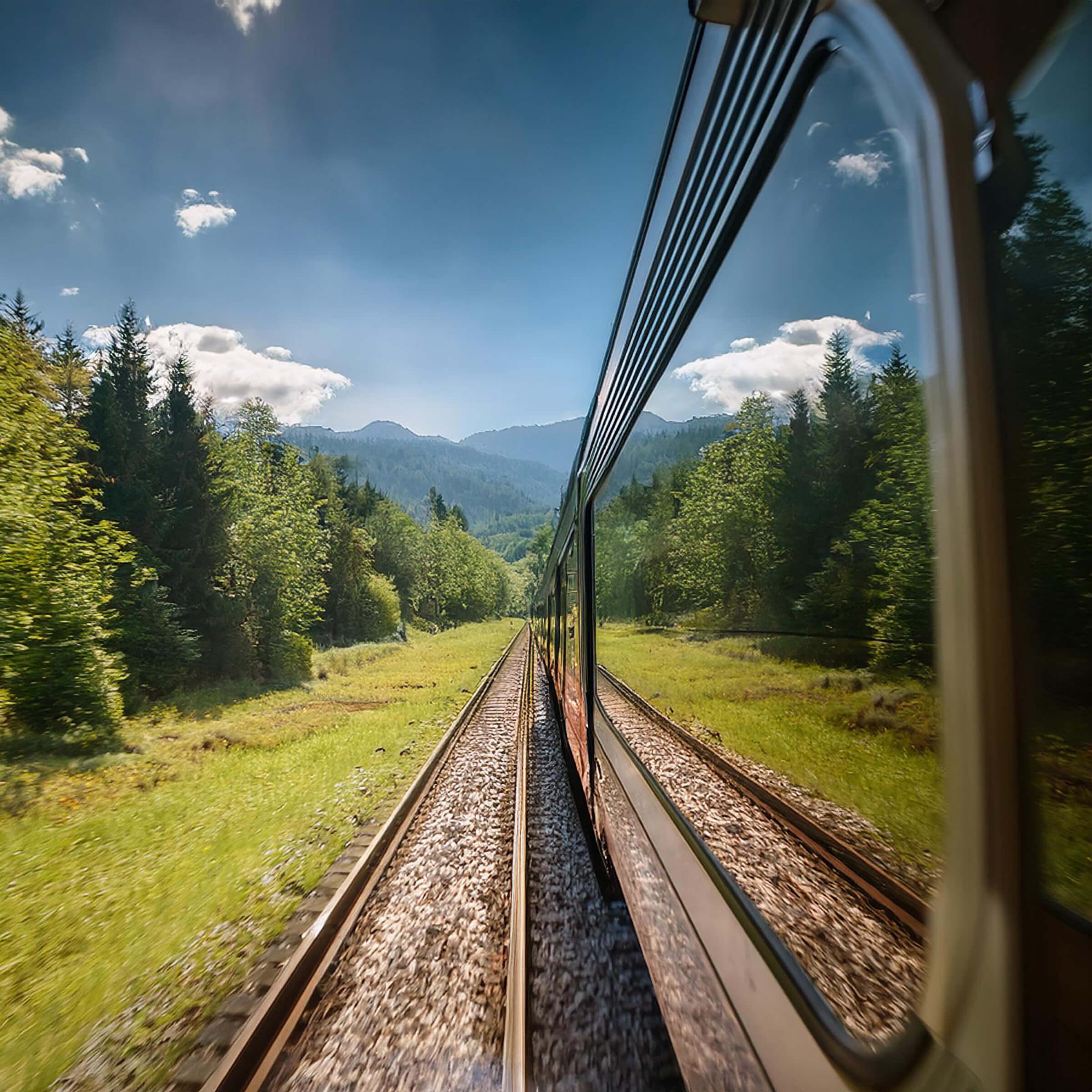 Pacific Northwest forest in daytime reflected in the window of a train